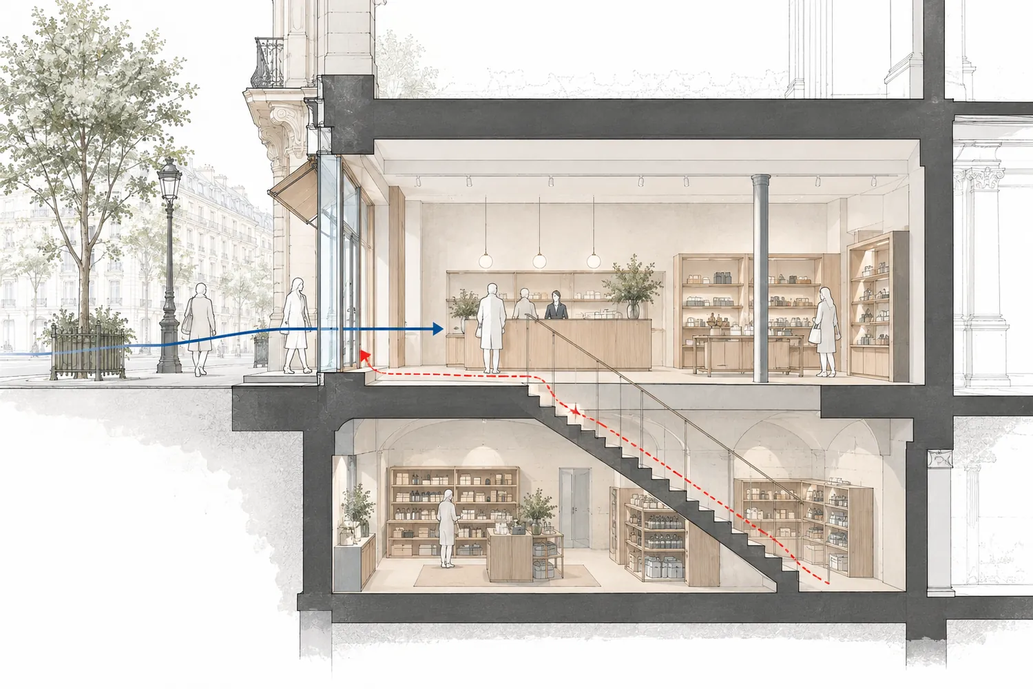 Coupe d’une boutique parisienne sur rue avec un sous-sol ouvert au public relié par un escalier ; un cheminement bleu va du trottoir au comptoir et un cheminement rouge en pointillé du sous-sol vers la sortie